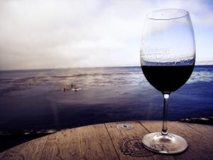 wine horizon